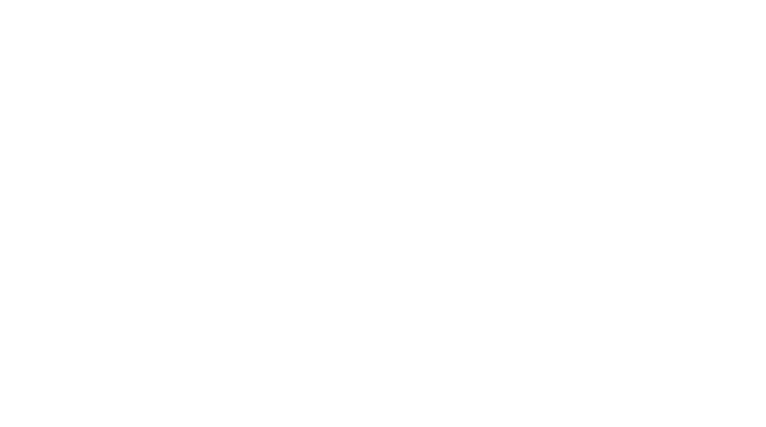 SP6 Seguridad